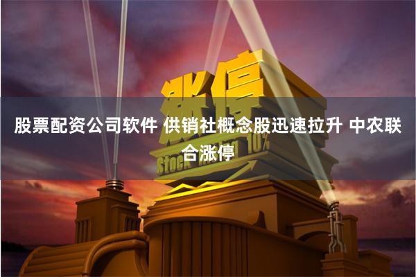 股票配资公司软件 供销社概念股迅速拉升 中农联合涨停