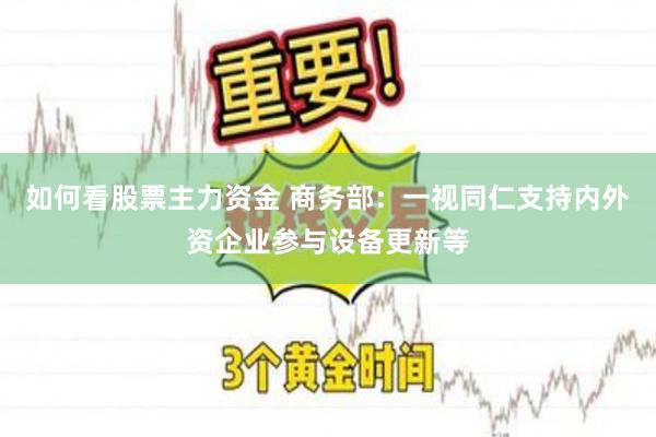 如何看股票主力资金 商务部：一视同仁支持内外资企业参与设备更新等