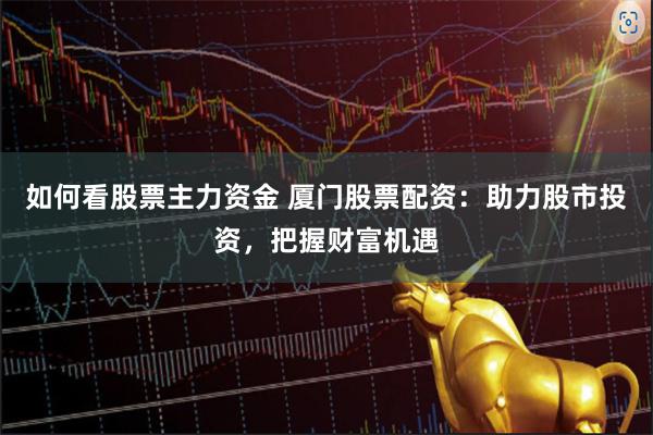 如何看股票主力资金 厦门股票配资：助力股市投资，把握财富机遇