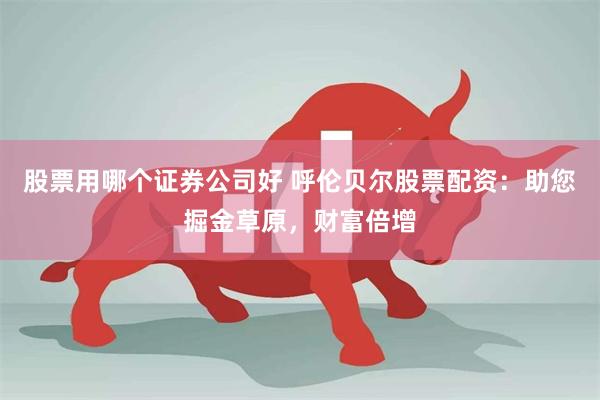 股票用哪个证券公司好 呼伦贝尔股票配资：助您掘金草原，财富倍增