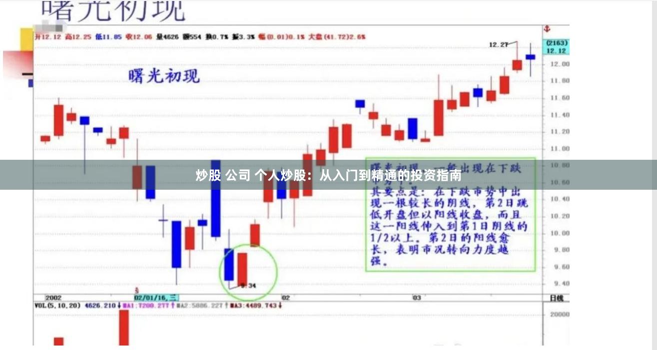 炒股 公司 个人炒股：从入门到精通的投资指南