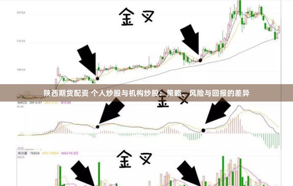 陕西期货配资 个人炒股与机构炒股：策略、风险与回报的差异