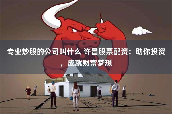 专业炒股的公司叫什么 许昌股票配资：助你投资，成就财富梦想