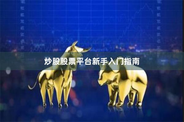 炒股股票平台新手入门指南