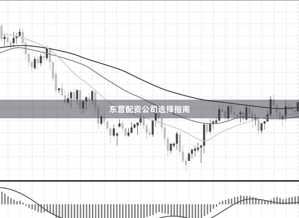 东营配资公司选择指南